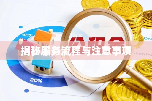 东洲揭秘服务流程与注意事项
