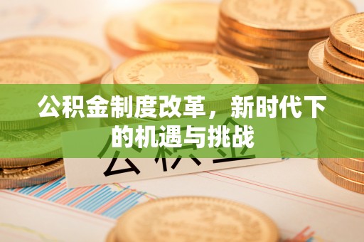 东洲公积金制度改革，新时代下的机遇与挑战