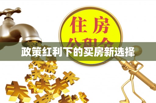 东洲政策红利下的买房新选择