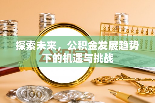 东洲探索未来，公积金发展趋势下的机遇与挑战