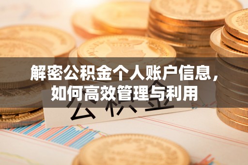 东洲解密公积金个人账户信息，如何高效管理与利用