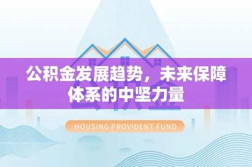 东洲公积金发展趋势，未来保障体系的中坚力量