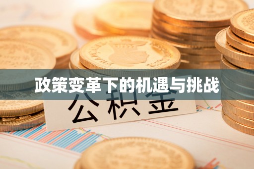 东洲政策变革下的机遇与挑战