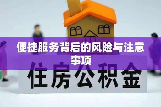 东洲便捷服务背后的风险与注意事项