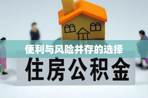 东洲便利与风险并存的选择