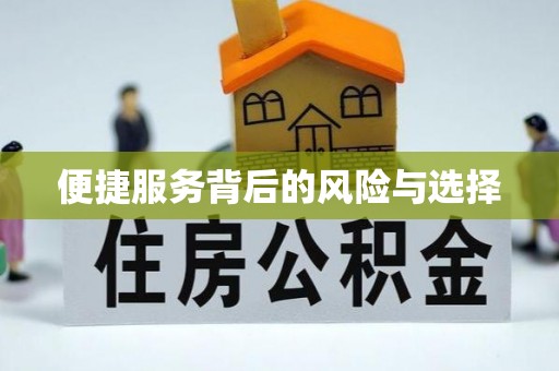 东洲便捷服务背后的风险与选择